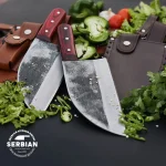 Elevate Your Skills: Exclusive Knife Set for Adventurers and Chefs!